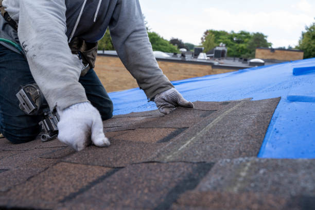 Quick and Trustworthy Emergency Roof Repair Services in Kendall Park, NJ
